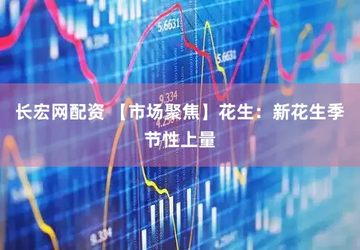 长宏网配资 【市场聚焦】花生：新花生季节性上量