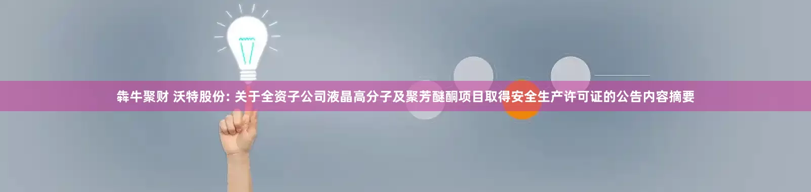 犇牛聚财 沃特股份: 关于全资子公司液晶高分子及聚芳醚酮项目取得安全生产许可证的公告内容摘要